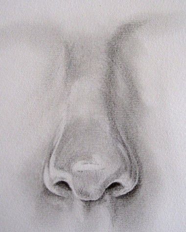 Dibujar una nariz realista - Pctr UP